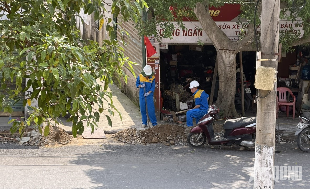 “Cổ chai”, triệu chứng của tư duy phân mảnh